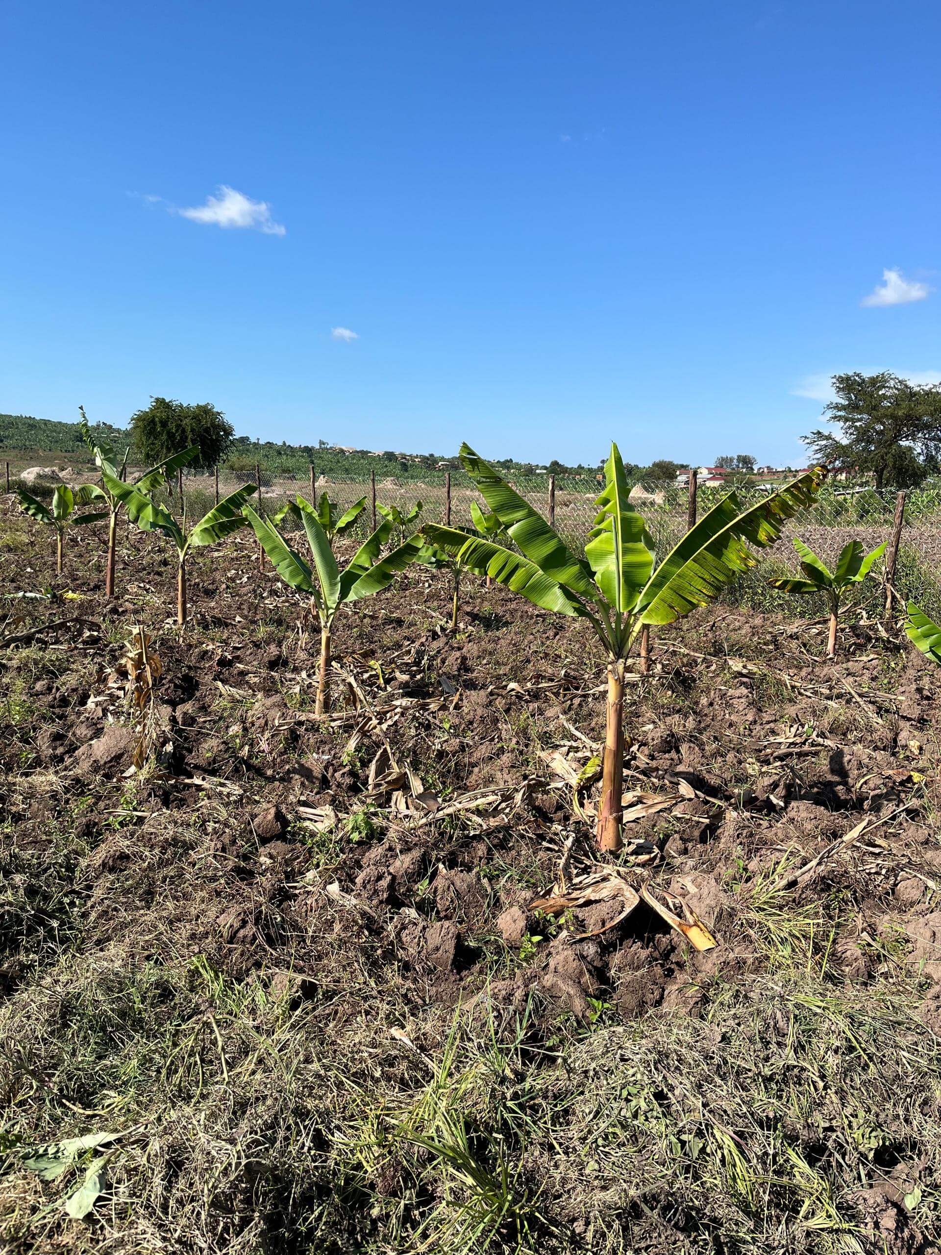 Farming